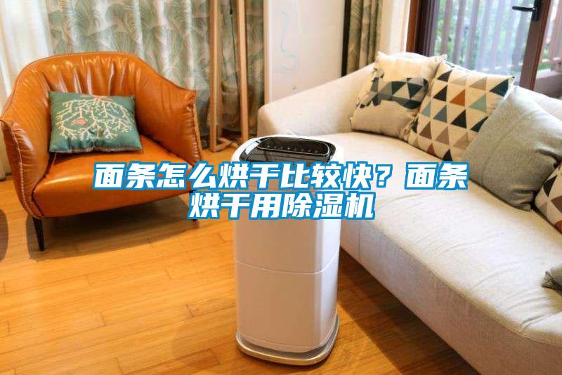 面條怎么烘干比較快？面條烘干用除濕機(jī)
