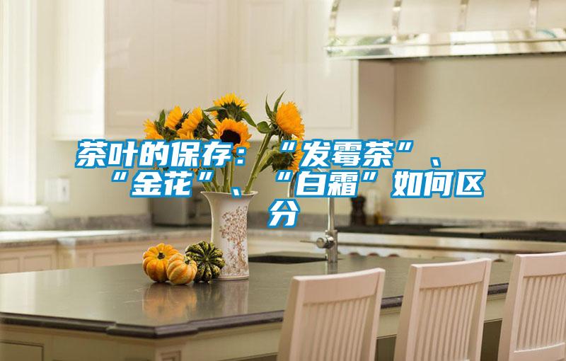 茶葉的保存：“發(fā)霉茶”、“金花”、“白霜”如何區(qū)分