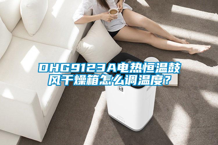 DHG9123A電熱恒溫鼓風(fēng)干燥箱怎么調(diào)溫度？