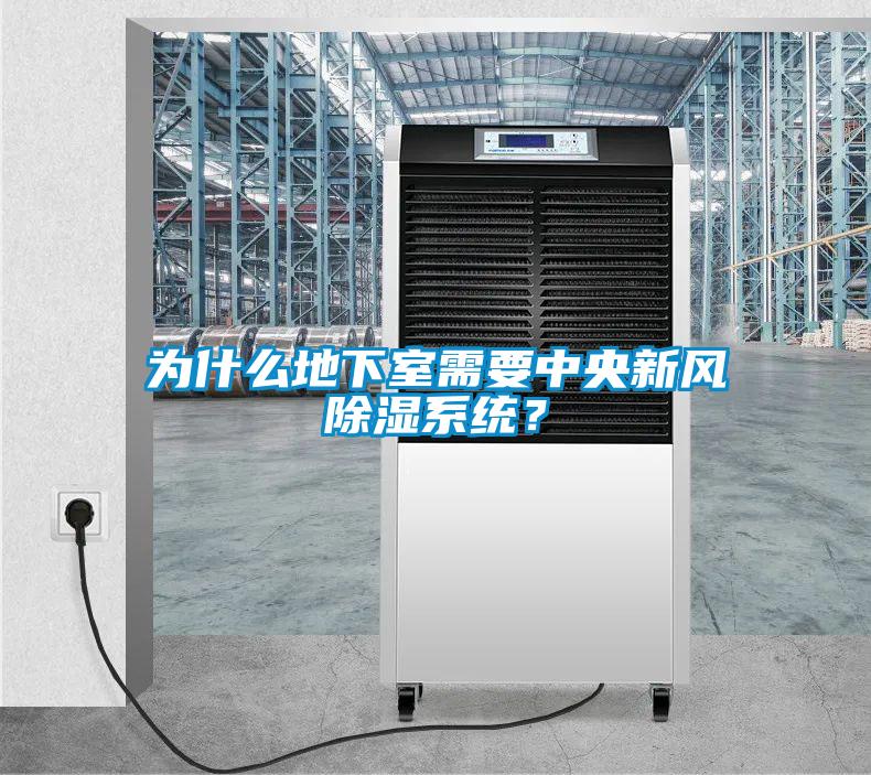 為什么地下室需要中央新風除濕系統？