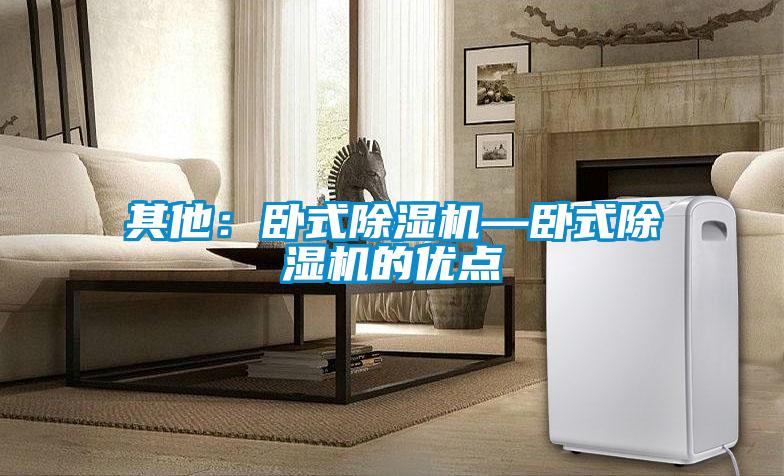 其他：臥式除濕機(jī)—臥式除濕機(jī)的優(yōu)點
