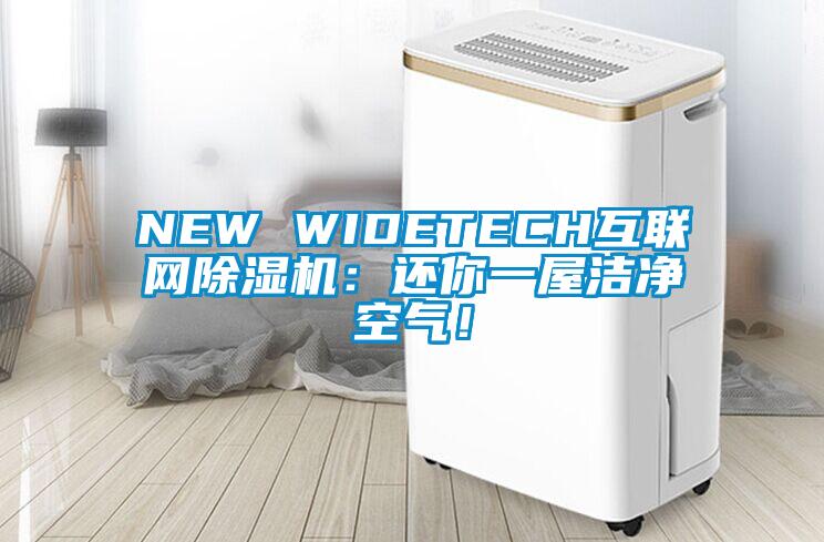 NEW WIDETECH互聯(lián)網(wǎng)除濕機(jī)：還你一屋潔凈空氣！