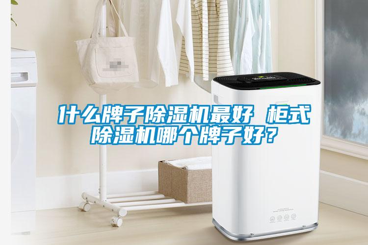 什么牌子除濕機(jī)最好 柜式除濕機(jī)哪個(gè)牌子好？
