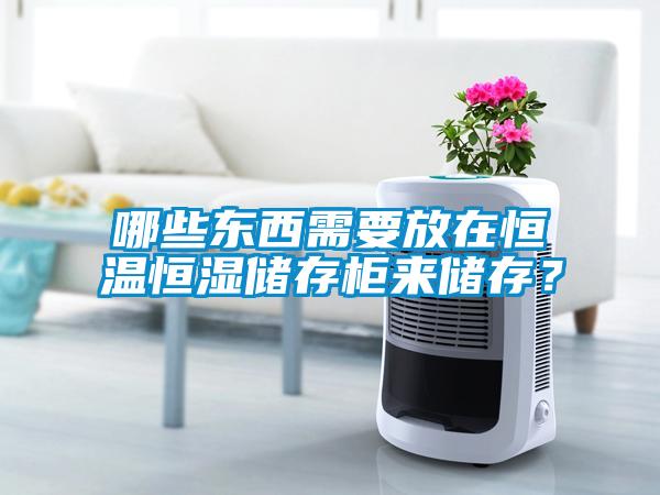 哪些東西需要放在恒溫恒濕儲存柜來儲存？