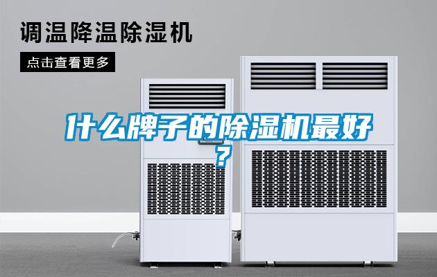 什么牌子的除濕機最好？