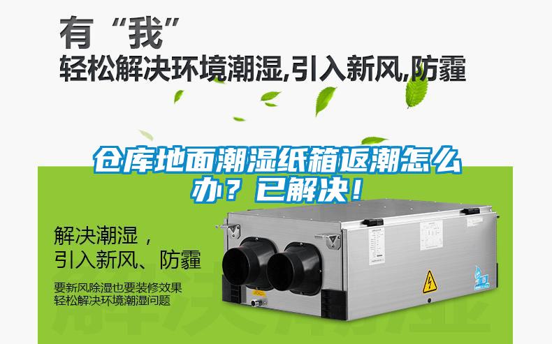 倉庫地面潮濕紙箱返潮怎么辦？已解決！