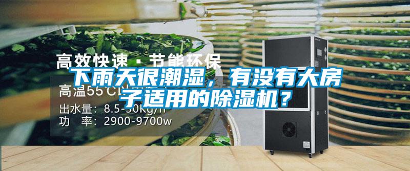 下雨天很潮濕，有沒有大房子適用的除濕機？