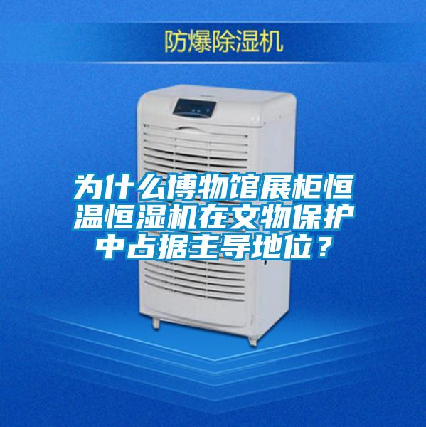 為什么博物館展柜恒溫恒濕機在文物保護中占據主導地位？