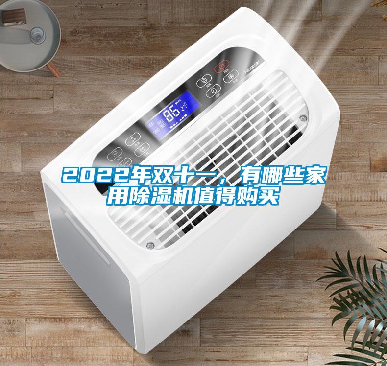 2022年雙十一，有哪些家用除濕機值得購買