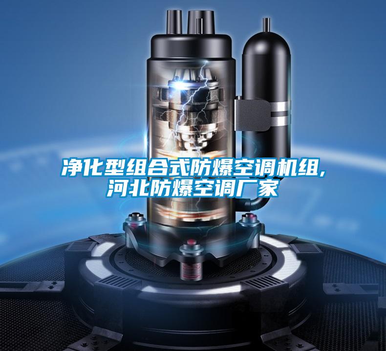 凈化型組合式防爆空調(diào)機組,河北防爆空調(diào)廠家