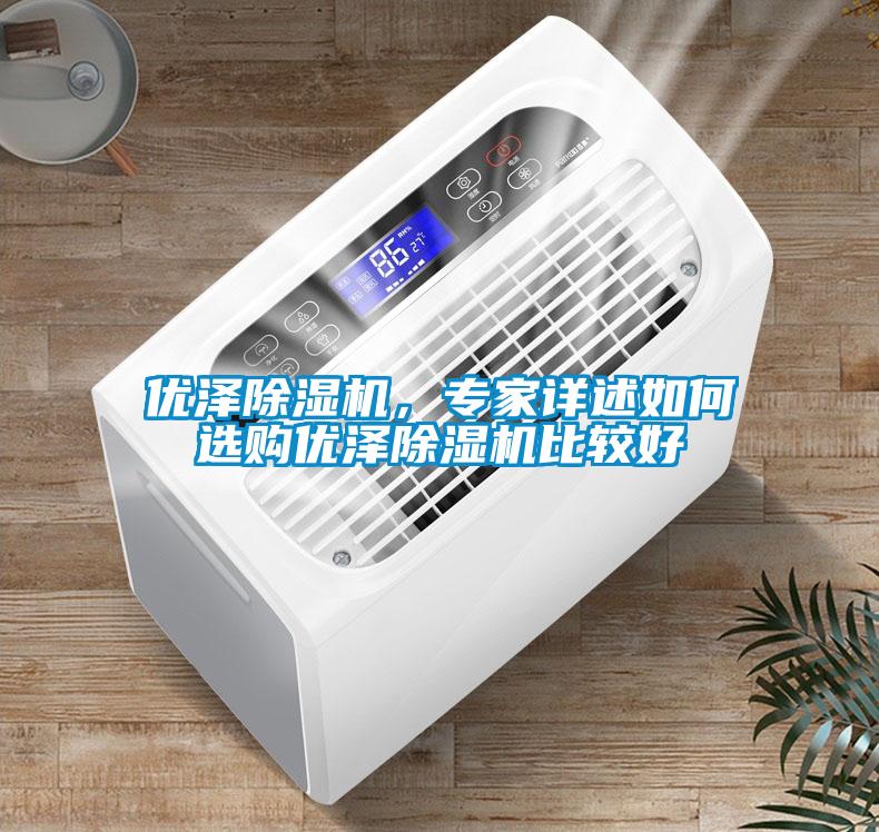 優澤除濕機，專家詳述如何選購優澤除濕機比較好