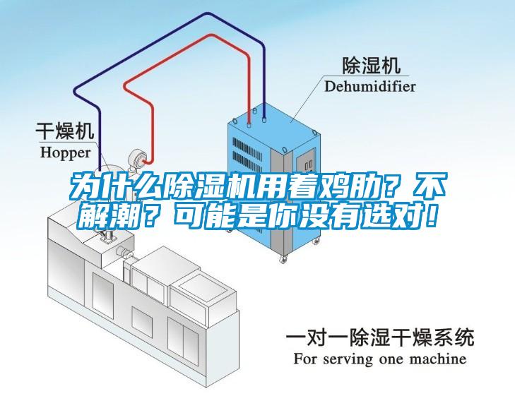 為什么除濕機用著雞肋？不解潮？可能是你沒有選對！