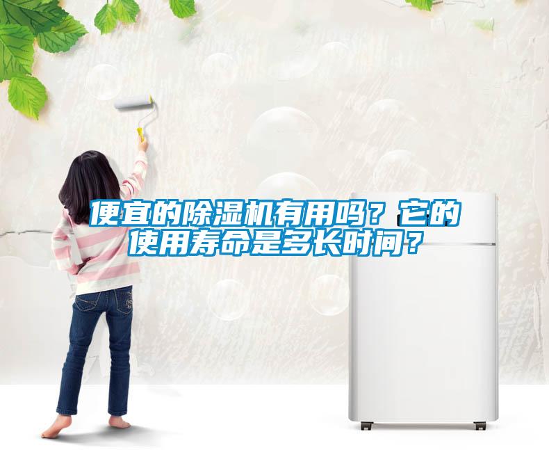 便宜的除濕機有用嗎？它的使用壽命是多長時間？