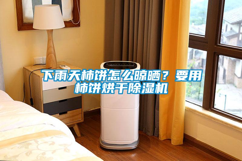 下雨天柿餅怎么晾曬？要用柿餅烘干除濕機