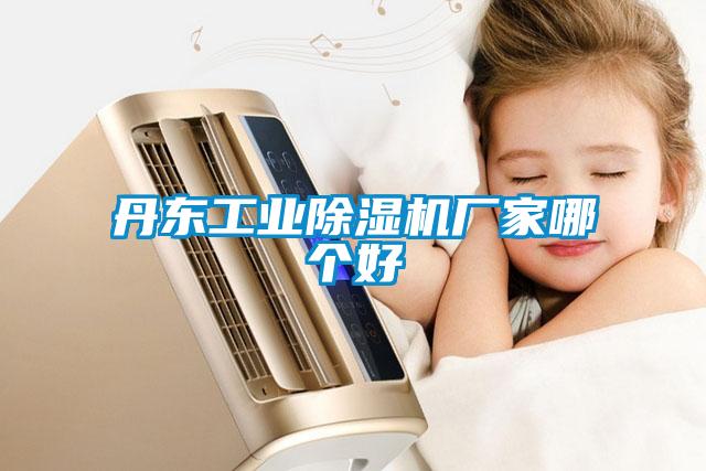 丹東工業(yè)除濕機(jī)廠(chǎng)家哪個(gè)好