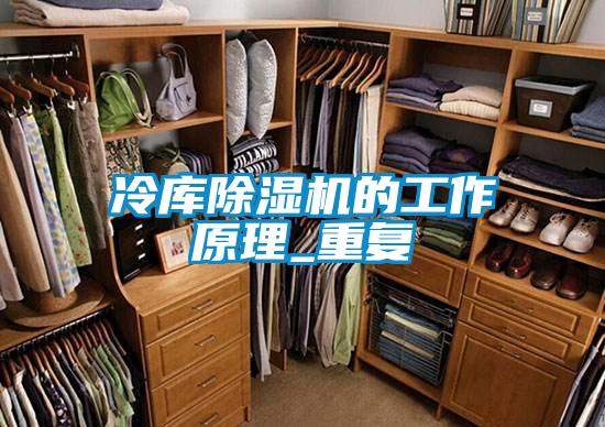 冷庫(kù)除濕機(jī)的工作原理_重復(fù)