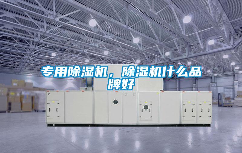 專(zhuān)用除濕機(jī)，除濕機(jī)什么品牌好