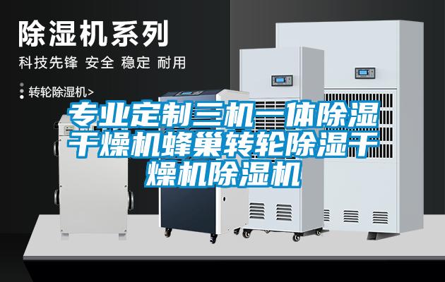 專業(yè)定制三機一體除濕干燥機蜂巢轉(zhuǎn)輪除濕干燥機除濕機