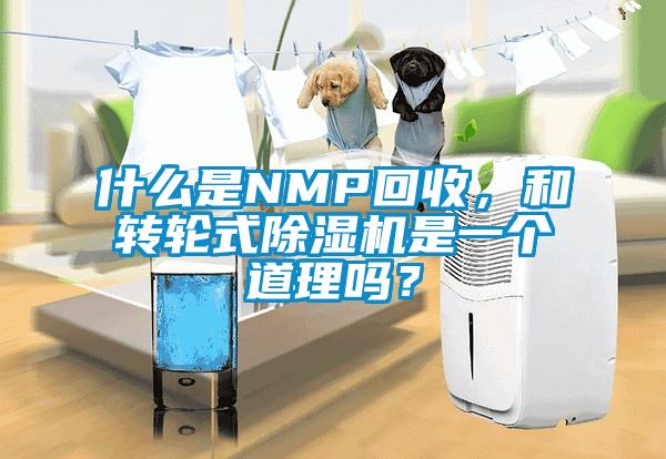 什么是NMP回收，和轉輪式除濕機是一個道理嗎？