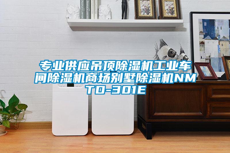 專業(yè)供應(yīng)吊頂除濕機(jī)工業(yè)車間除濕機(jī)商場(chǎng)別墅除濕機(jī)NMTD-301E