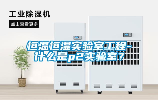 恒溫恒濕實驗室工程-什么是p2實驗室？