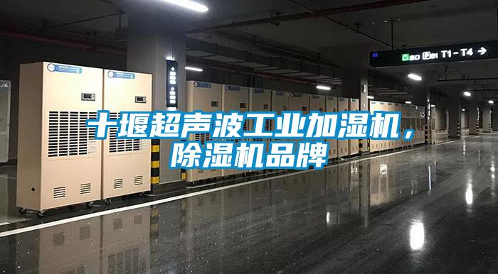 十堰超聲波工業加濕機，除濕機品牌