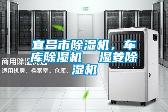 宜昌市除濕機，車庫除濕機  濕菱除濕機