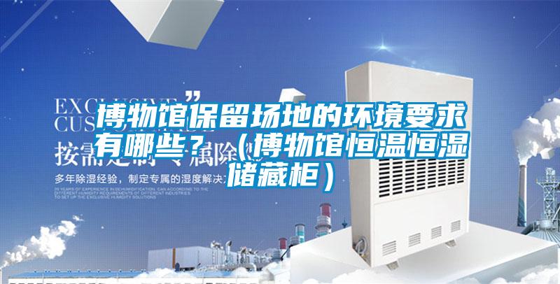 博物館保留場地的環境要求有哪些？（博物館恒溫恒濕儲藏柜）