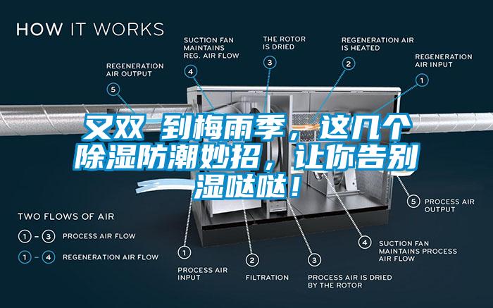 又雙叒到梅雨季，這幾個除濕防潮妙招，讓你告別濕噠噠！