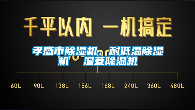 孝感市除濕機(jī)，耐低溫除濕機(jī)  濕菱除濕機(jī)