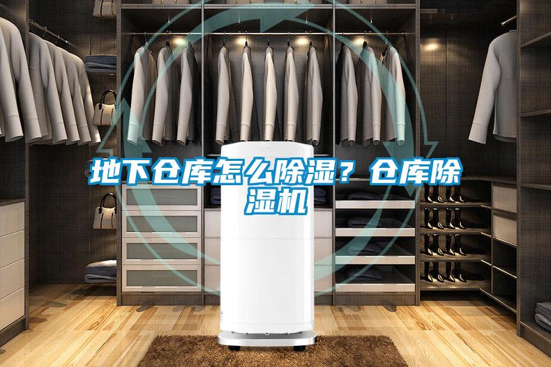 地下倉庫怎么除濕？倉庫除濕機(jī)