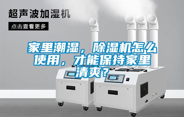 家里潮濕，除濕機(jī)怎么使用，才能保持家里清爽？