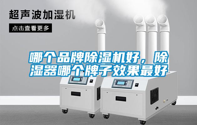 哪個品牌除濕機好，除濕器哪個牌子效果最好