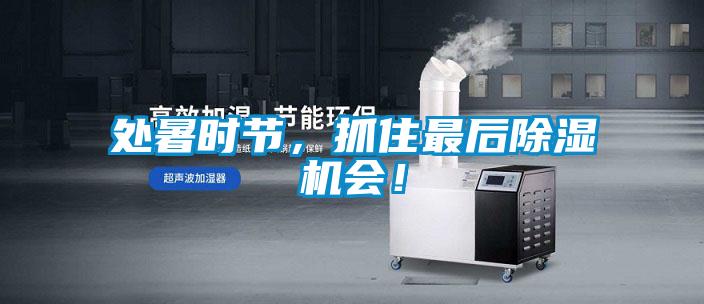 處暑時節，抓住最后除濕機會！