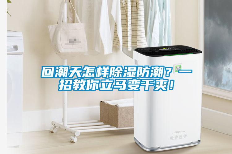 回潮天怎樣除濕防潮？一招教你立馬變干爽！
