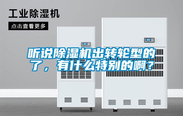 聽說除濕機出轉輪型的了，有什么特別的啊？