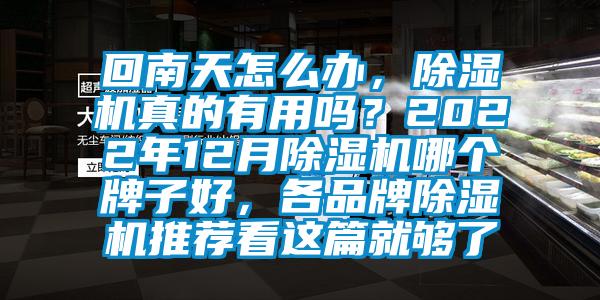回南天怎么辦，除濕機真的有用嗎？2022年12月除濕機哪個牌子好，各品牌除濕機推薦看這篇就夠了