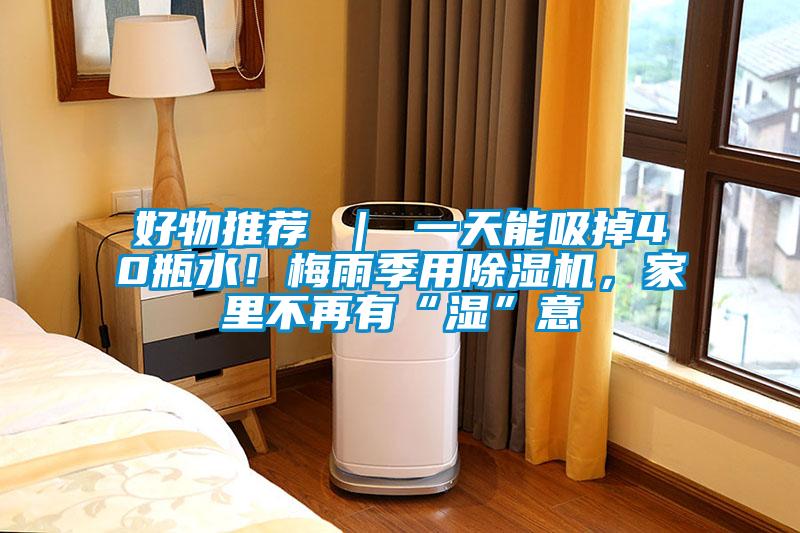 好物推薦 ｜ 一天能吸掉40瓶水！梅雨季用除濕機，家里不再有“濕”意