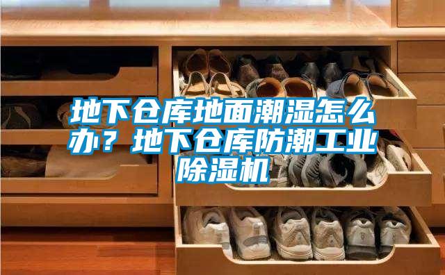 地下倉(cāng)庫(kù)地面潮濕怎么辦？地下倉(cāng)庫(kù)防潮工業(yè)除濕機(jī)