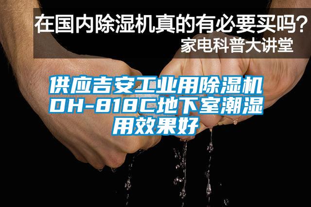 供應吉安工業用除濕機DH-818C地下室潮濕用效果好