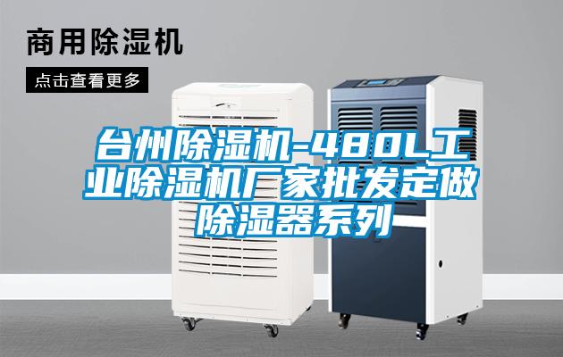 臺州除濕機(jī)-480L工業(yè)除濕機(jī)廠家批發(fā)定做 除濕器系列