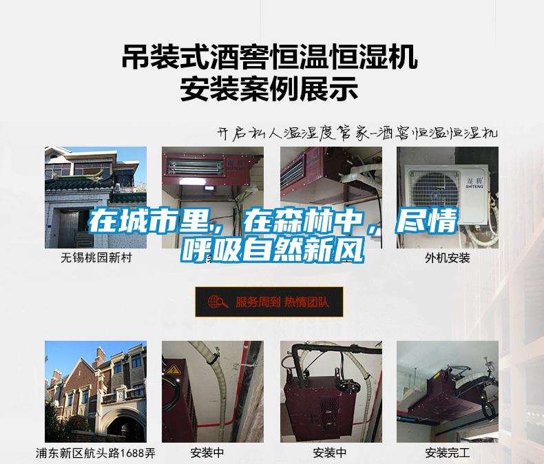 在城市里，在森林中，盡情呼吸自然新風