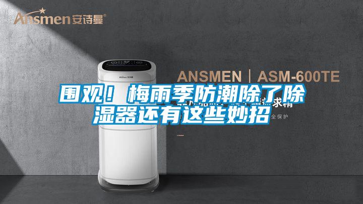 圍觀！梅雨季防潮除了除濕器還有這些妙招