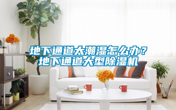 地下通道太潮濕怎么辦？地下通道大型除濕機