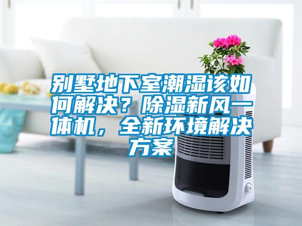 別墅地下室潮濕該如何解決？除濕新風一體機，全新環境解決方案