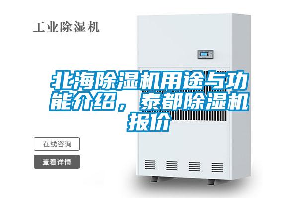 北海除濕機用途與功能介紹，泰都除濕機報價