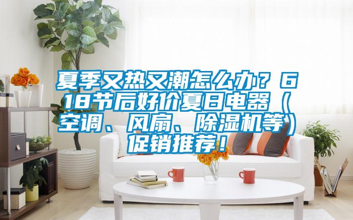 夏季又熱又潮怎么辦？618節(jié)后好價(jià)夏日電器（空調(diào)、風(fēng)扇、除濕機(jī)等）促銷(xiāo)推薦！