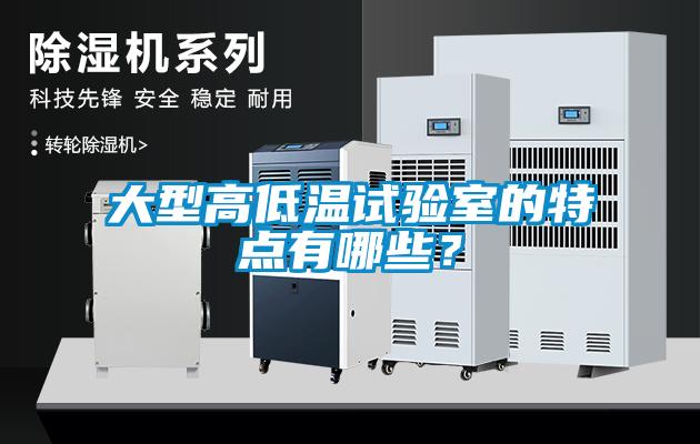大型高低溫試驗(yàn)室的特點(diǎn)有哪些？