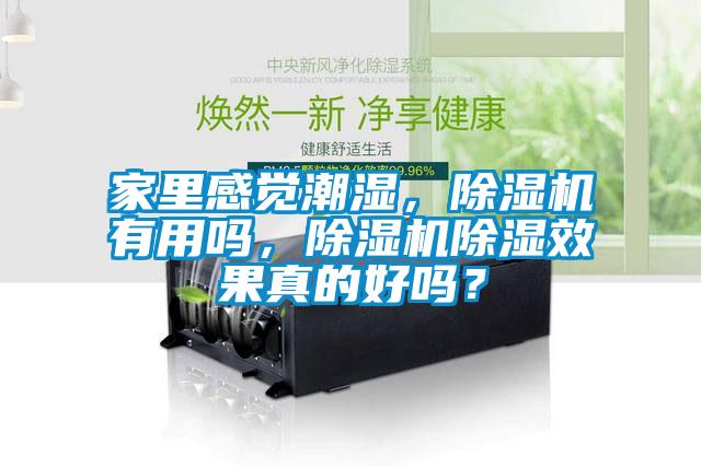 家里感覺(jué)潮濕，除濕機(jī)有用嗎，除濕機(jī)除濕效果真的好嗎？