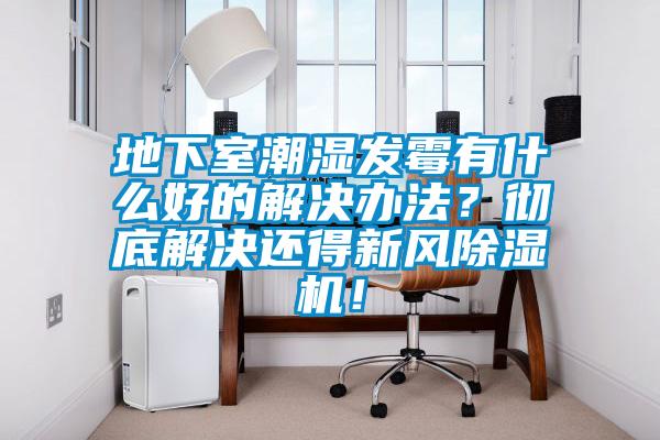 地下室潮濕發霉有什么好的解決辦法？徹底解決還得新風除濕機！